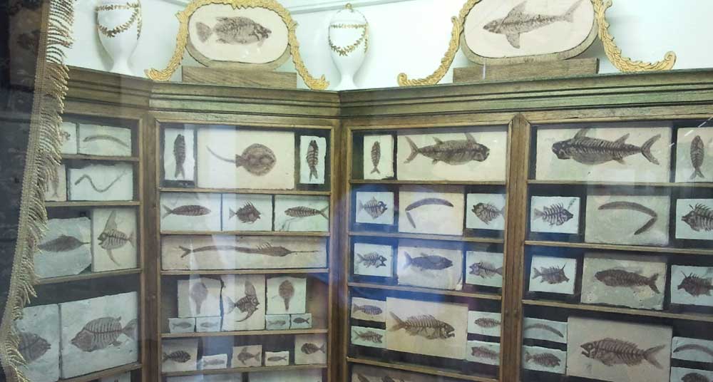 Museo Storia Naturale