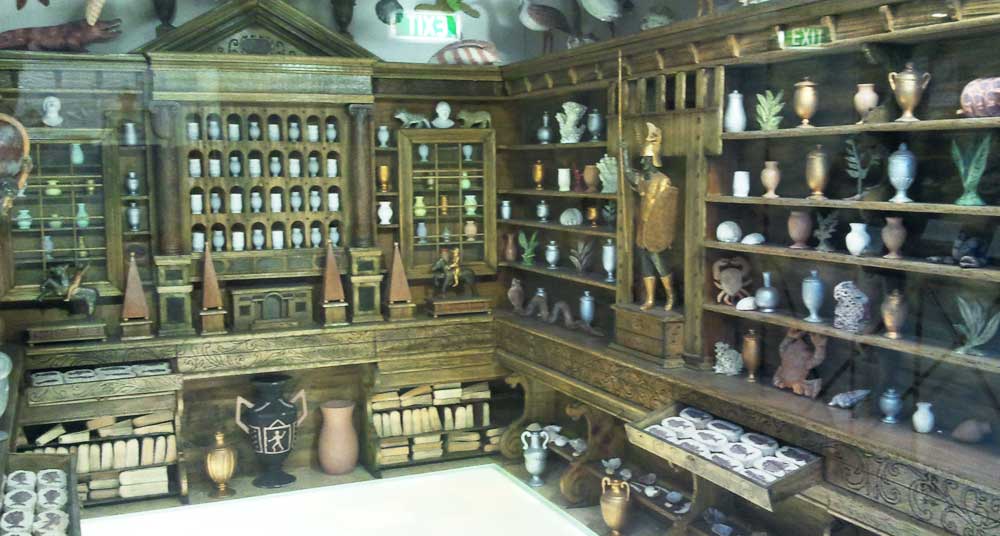 Museo Storia Naturale